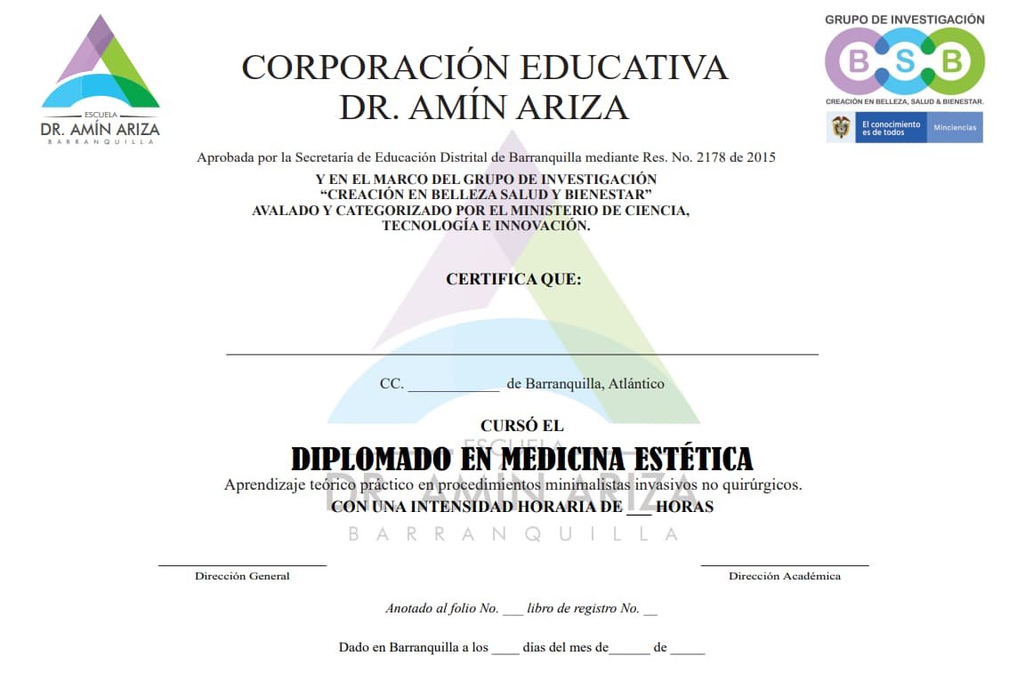 DIPLOMA ACTUALIZADO