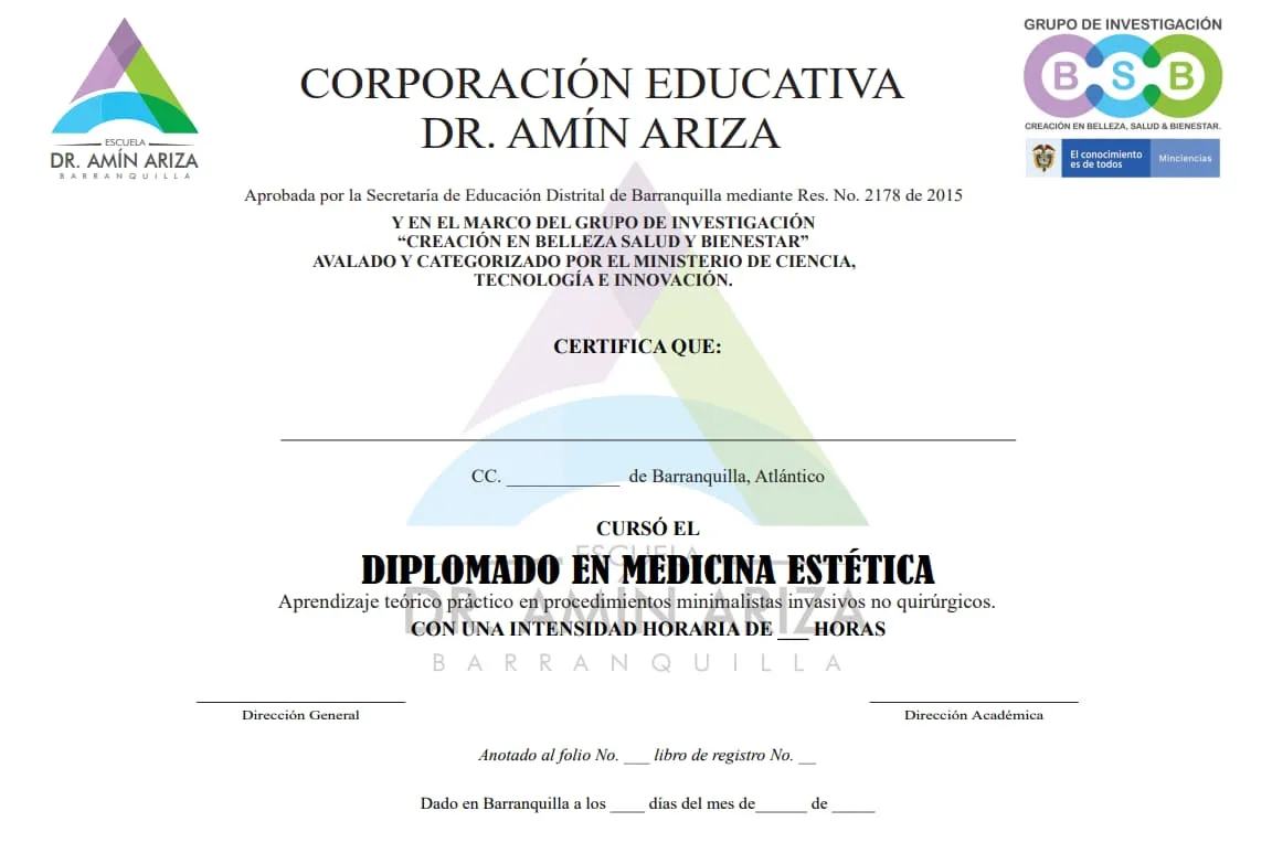 DIPLOMA ACTUALIZADO